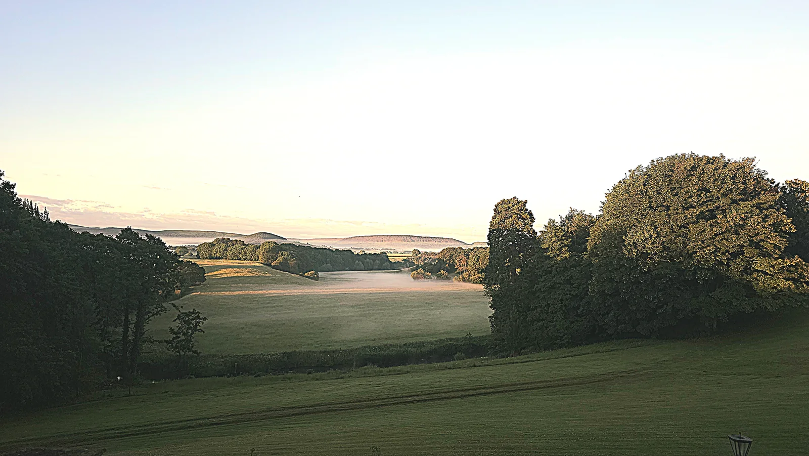 Open fields and trees with a low layer of early-morning mist.