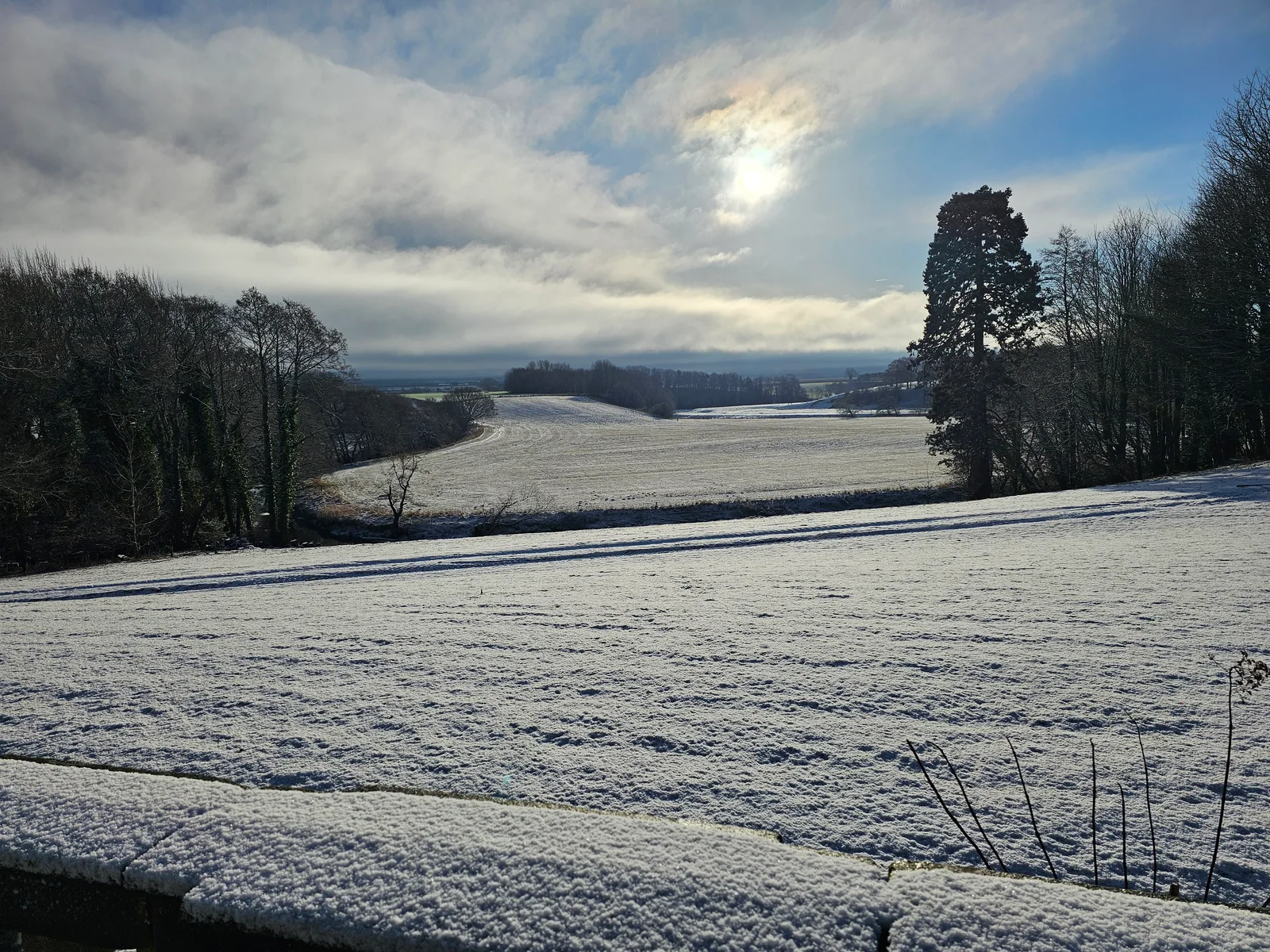 Frost-covered lawns and fields in the estate landscape.